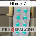 Rhino 7 28